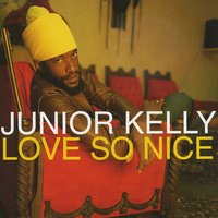 Love So Nice - Junior Kelly