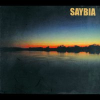 Fool's Corner - Saybia