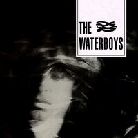 Boy In Black Leather - The Waterboys