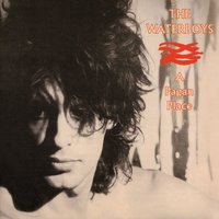 Rags - The Waterboys