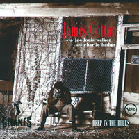 Worried Life Blues - James Cotton