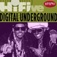 No Nose Job - Digital Underground