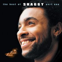 Something Different - Shaggy