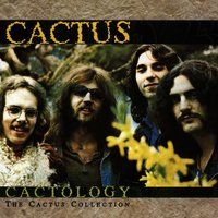 You Can't Judge a Book by the Cover - Cactus