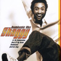 Perfect Song - Shaggy, Maxi Priest