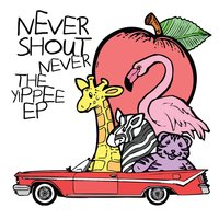 Dare4distance - Never Shout Never
