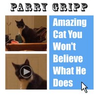 Amazing Cat You Won't Believe What He Does - Parry Gripp