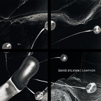 The Healing Place - David Sylvian