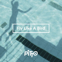 Fly Like A Bird - Pitto