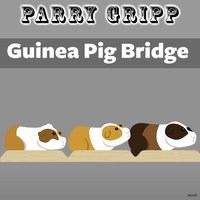 Guinea Pig Bridge - Parry Gripp