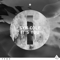 It's You - Syn Cole