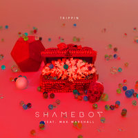 Trippin - Shameboy, Max Marshall