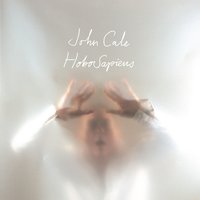 Look Horizon - John Cale
