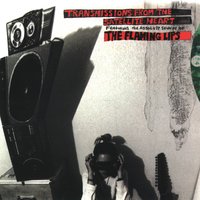 Pilot Can at the Queer of God - The Flaming Lips