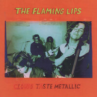 Guy Who Got a Headache and Accidentally Saves the World - The Flaming Lips, Peter Mokran
