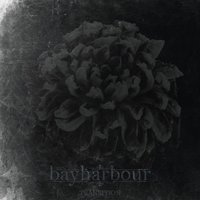 Transition - Bayharbour
