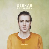 The Worry - Seekae, Andras