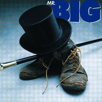 Blame it on My Youth - Mr. Big