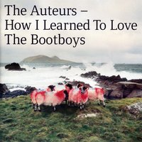 How I Learned To Love The Bootboys - The Auteurs