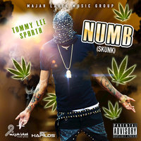 Numb (Skunk) - Tommy Lee Sparta