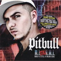 Turnin Me On Remix - Nina Sky, Pitbull