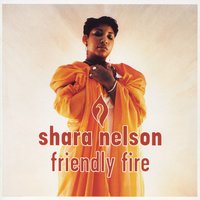 I Fell (So You Could Catch Me) - Shara Nelson