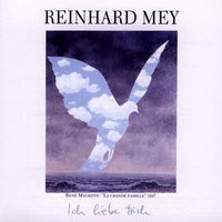 Du Bist Die Stille - Reinhard Mey