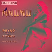Nnunu (feat. Stormrex) - Phyno
