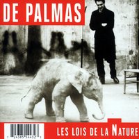 Donneurs De Leçons - De Palmas