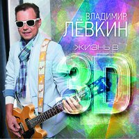 Музыкант - Владимир Лёвкин