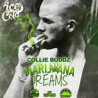 Marijuana Dreams - Collie Buddz