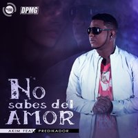 No Sabes Del Amor (feat. Predikador) - Akim