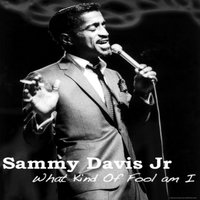 What Now, My Love - Sammy Davis, Jr.