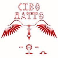 Vamos a La Playa - Cibo Matto