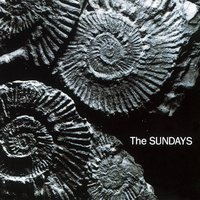 You're Not The Only One I Know - The Sundays