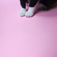 Water - Sunni Colón