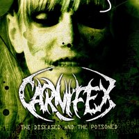 Among Grim Shadows - Carnifex
