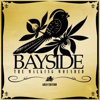 Head On a Plate - Bayside