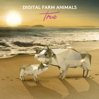 True - Digital Farm Animals