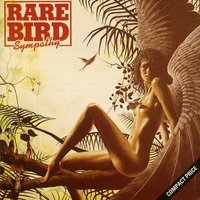 Hammerhead - Rare Bird