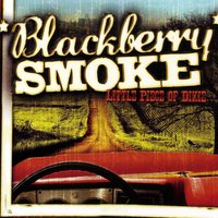 Shake Your Magnolia - Blackberry Smoke