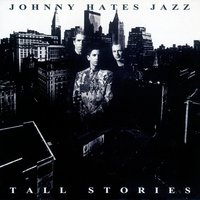 Shelter From The Storm - Johnny Hates Jazz