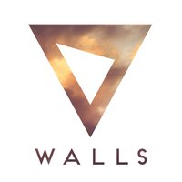 Walls - Slaptop