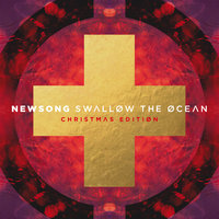 Swallow the Ocean - NewSong