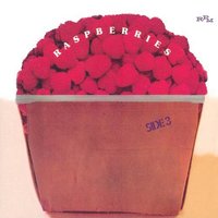 On the Beach - Raspberries