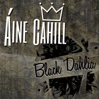 Black Dahlia - Áine Cahill