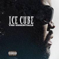 The Wrong Nigga To Fuck Wit - Ice Cube