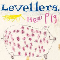 The Weed That Killed Elvis - The Levellers