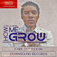 How Me Grow - VYBZ Kartel