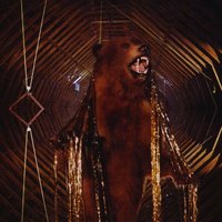 I Will Sing You Songs - My Morning Jacket